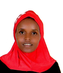 MERGE ALEMU BENTI