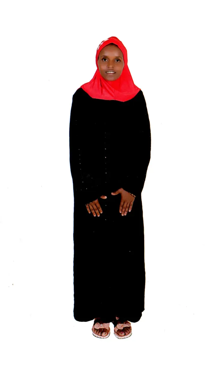 MERGE ALEMU BENTI